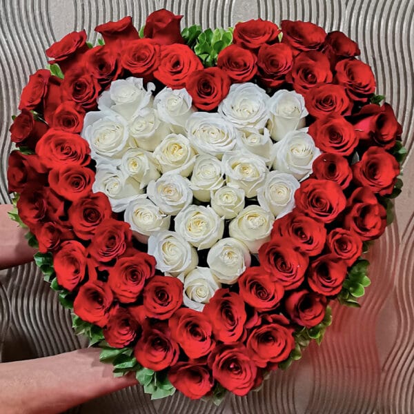 CORAZÓN-101